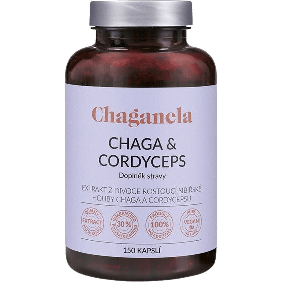 Chaganela Extrait de Chaga avec Cordyceps 150 gélules