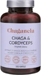 Chaganela
