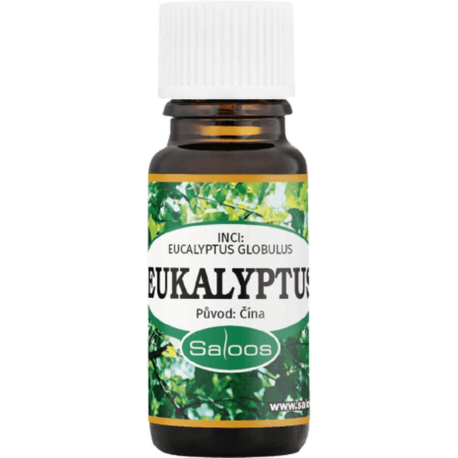 Saloos Eukalyptus - China 10 ml