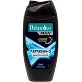 Palmolive SG MEN BLAU Reines Arct. Refr. 250 ml