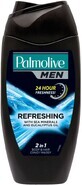 Palmolive SG MEN BLAU Reines Arct. Refr. 250 ml