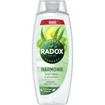 Radox Harmonia Duschgel 450 ml