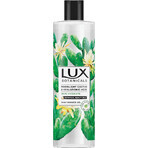 Lux Duschgel mit Kaktus und Hyualuronsäure 500 ml