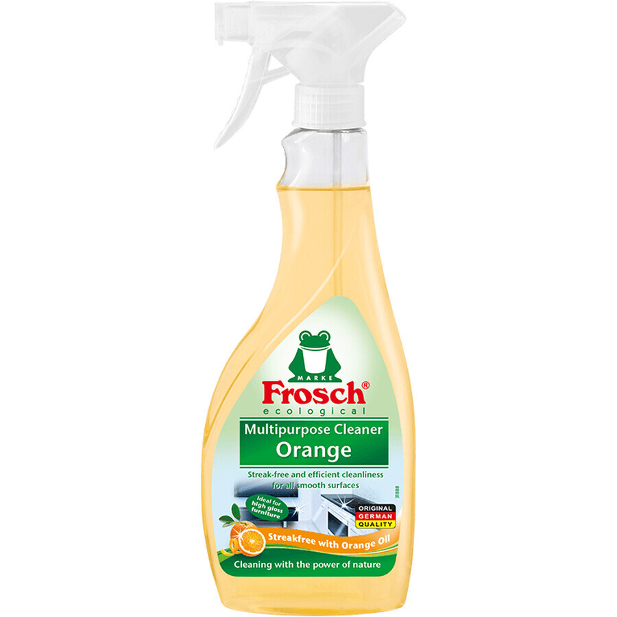 Frosch BIO Multifunctional cleaner for glossy surfaces 500 ml