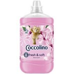 Coccolino Silk lily conditionneur de tissu 1.7 l