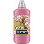 Coccolino Geißblatt Waschmittel 1,27 l