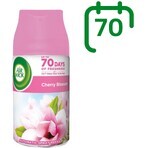 Airwick Reîncărcare pentru difuzorul automat Freshmatic Cherry Blossom 250 ml