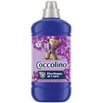 Coccolino Orchid Violet laundry conditioner 1.27 l