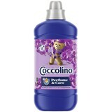 Coccolino Orchidee Violett Weichspüler 1,27 l