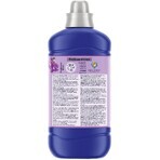 Coccolino Orchid Violet laundry conditioner 1.27 l