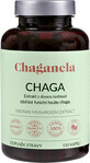 Chaganela Sibirischer Chaga-Extrakt 150 Kapseln