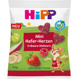 HiPP Organic Berry Hearts Strawberry-Malina 40 g