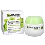 Garnier Skin Naturals 24h moisturizing cream with grape extracts for normal skin 50 ml