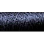 L'Oréal Paris Hair Colour Preference P12 Bleu Noir