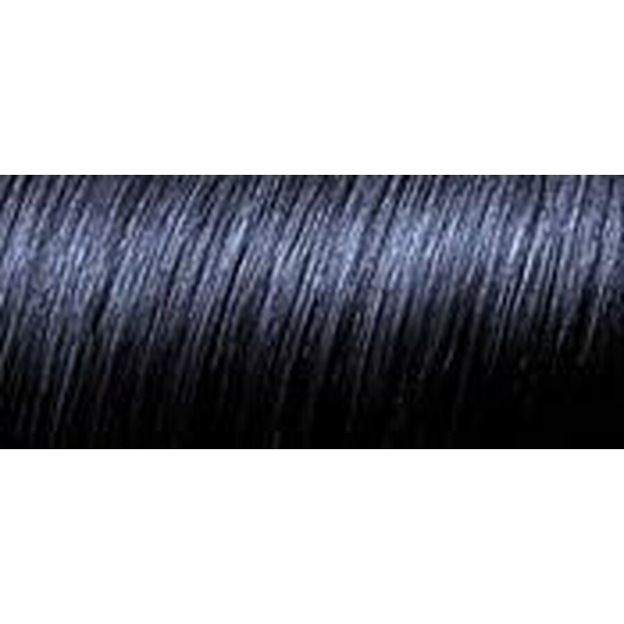 L'Oréal Paris Hair Colour Preference P12 Bleu Noir