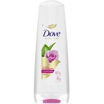 Dove Rose und Aloe Vera Pflegespülung 350 ml