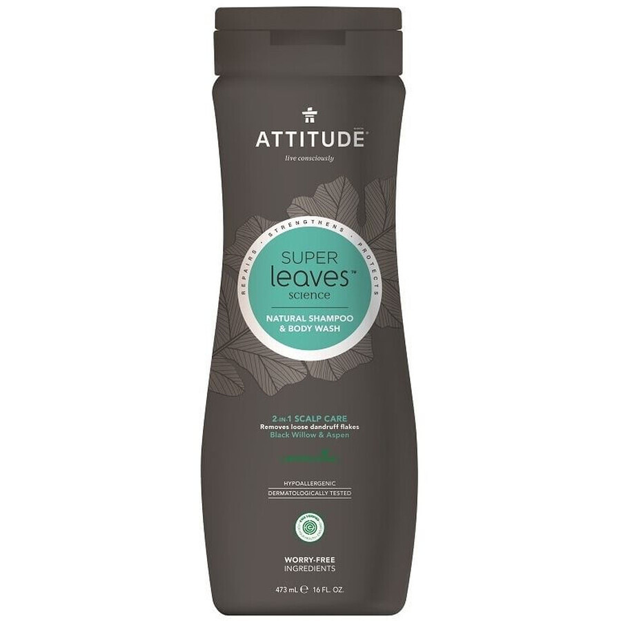 Attitude Super leaves Detoxifying, anti-dandruff men's shampoo and body soap (2in1) 473 ml