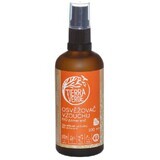 Organic Green Earth Bio-Lufterfrischer Orange 100 ml