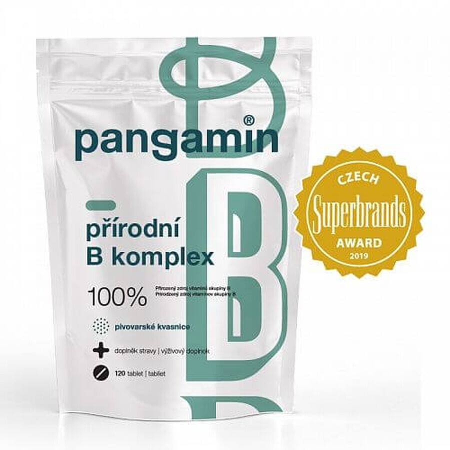 Pangamine Natural B-complex 120 tablets