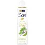 Dove Advanced Advanced care Matcha und Grüner Tee Antitranspirant Spray 150 ml