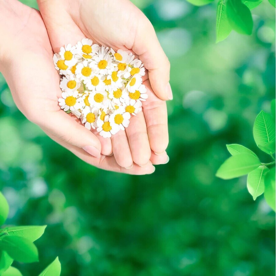 Naturella Ultra Nachtpads 14 Stück