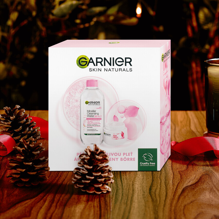 Garnier Skin Naturals Rose Weihnachtspaket 2023 - Creme + Mizellenwasser