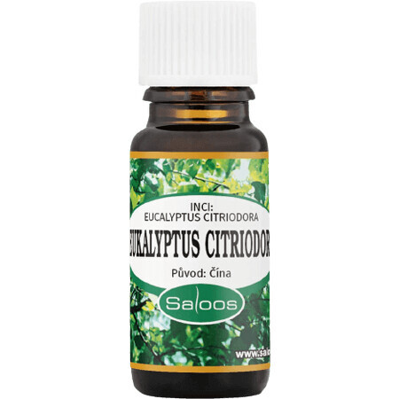 Saloos Eucalyptus Citriodora 10 ml