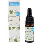 Ser facial Kvitok - MSM 10 ml