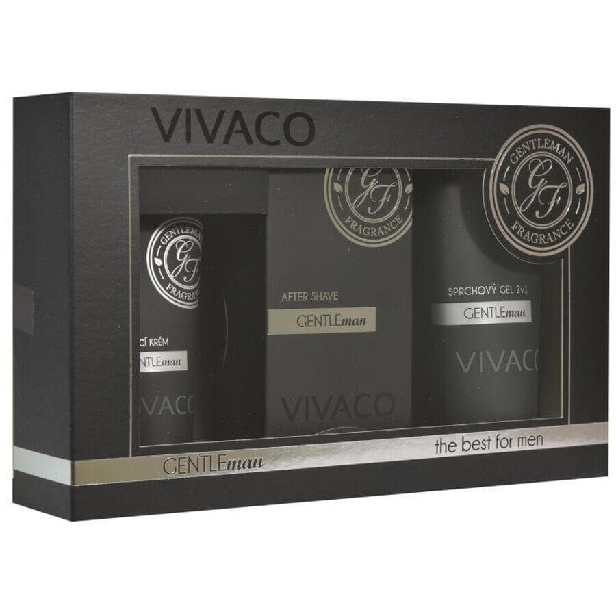 Vivaco GENTLEMAN Coffret cosmétique pour hommes 3 pcs