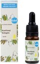 Kvitok Gesichtsserum - Kollagen (pflanzlich) 10 ml