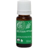 Tierra Verde Bio ätherisches Öl Eukalyptus 10 ml