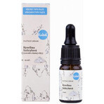 Kvitok Spring Seren - Salicylsäure 10 ml