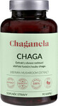 Chaganela Sibirischer Chaga-Extrakt 90 Kapseln