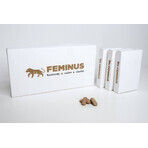 Feminus 60 tablets