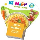 HiPP BIO Mini Rigatoni cu legume în sos cremos 250 g