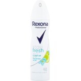 Rexona Antitranspirant Blue Pop & Apfel 150 ml