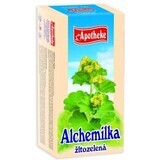 Apotheke Ceai alchemilla galben verde 20x1,5g 20 x 1.5 g