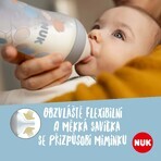 Nuk Succhietto Perfect Match Universale (6+ m.) 2 pz.