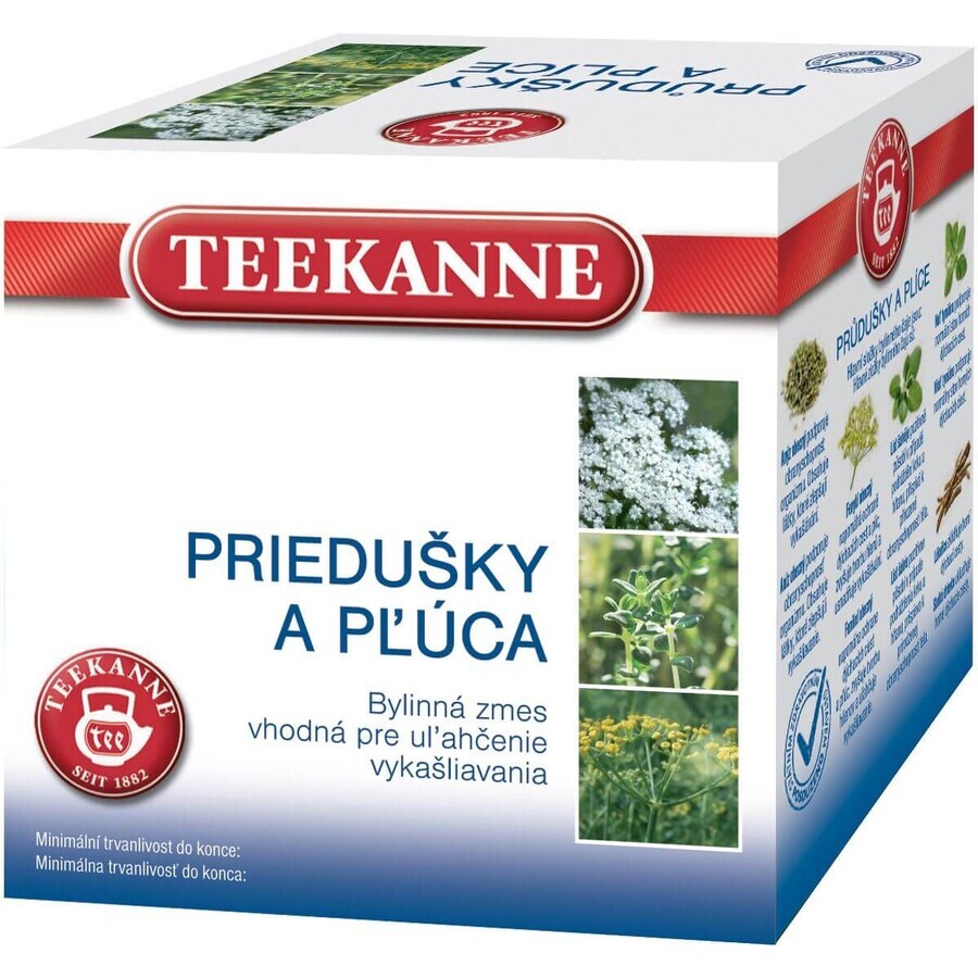 Teekanne Herbal tea for bronchi and lungs 10 x 2 g