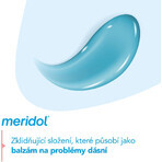 Dentifrice Meridol Gum Protection & Gentle White 3 x 75 ml