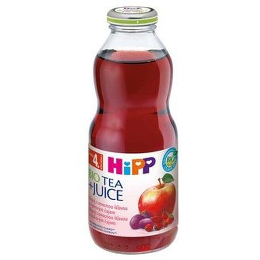 HiPP Tea & Fruit Ceai de măceșe și suc de viermi 500 ml