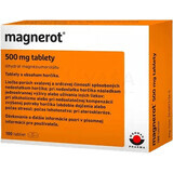 Magnerot 100 tablets