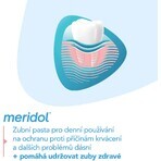 Meridol Gum Protection Gum Protection Toothpaste 3 x 75 ml