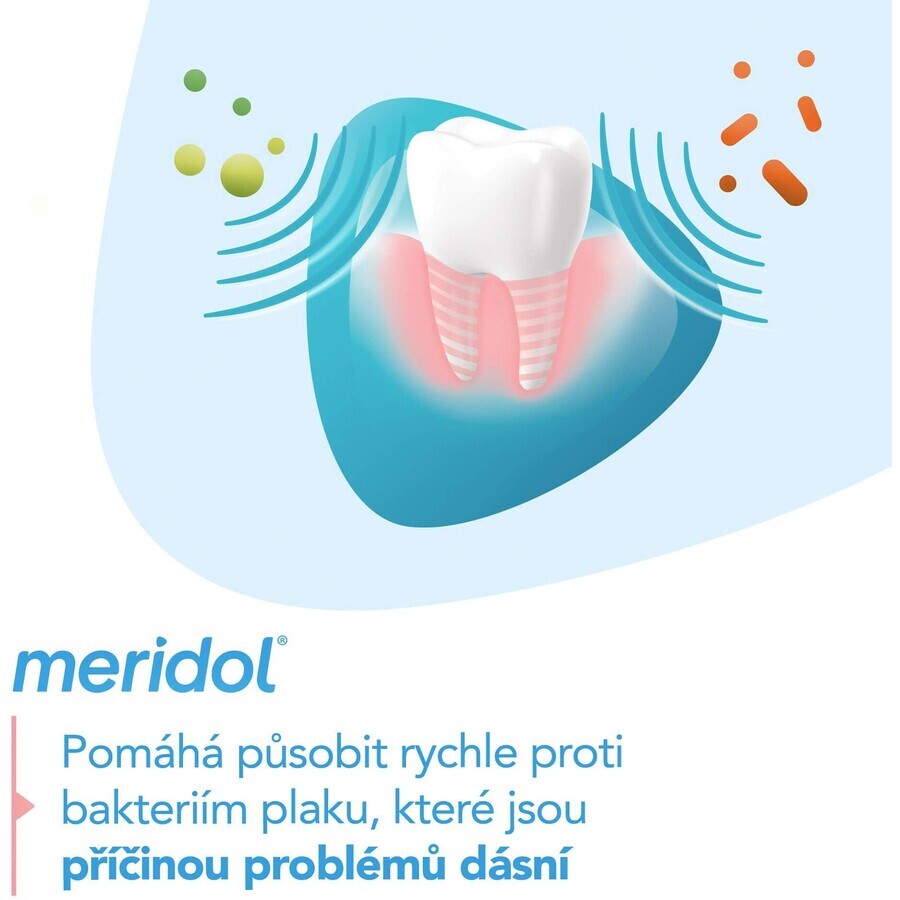 Meridol Gum Protection Gum Protection Toothpaste 3 x 75 ml