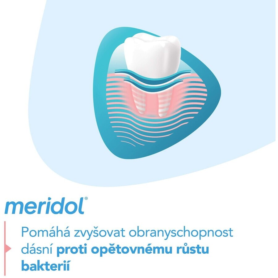 Meridol Gum Protection Gum Protection Toothpaste 3 x 75 ml