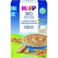 HiPP BIO Bio-Babynachtbrei mit Keksen 250 g