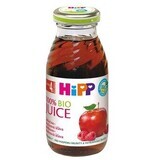 HiPP BIO Apple juice - raspberry 200 ml