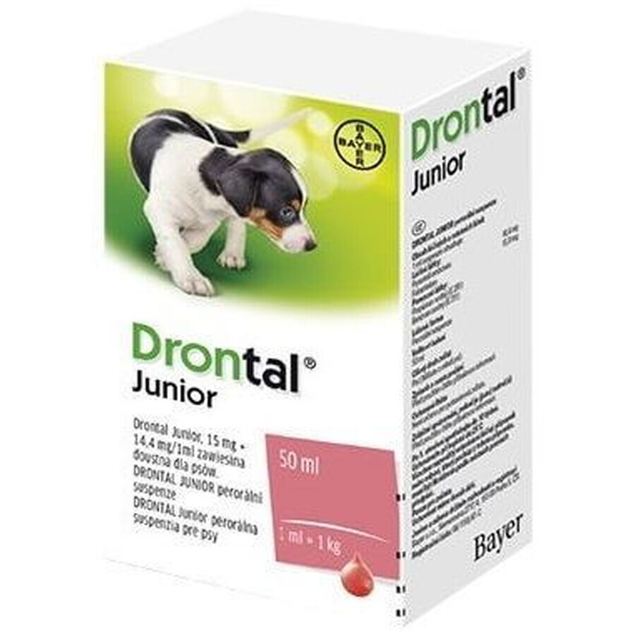 Drontal Junior Suspension zum Einnehmen für Hunde 50 ml