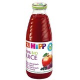 HiPP Organic red fruit juice with iron 500 ml