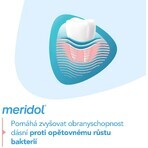 Meridol Gum Protection Pasta dentífrica 2 x 75 ml